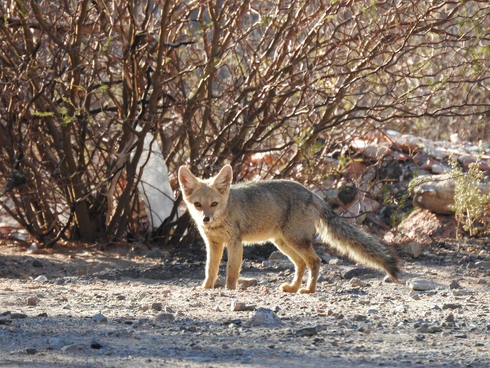 Photograph by Cristina Bosio Ferrer