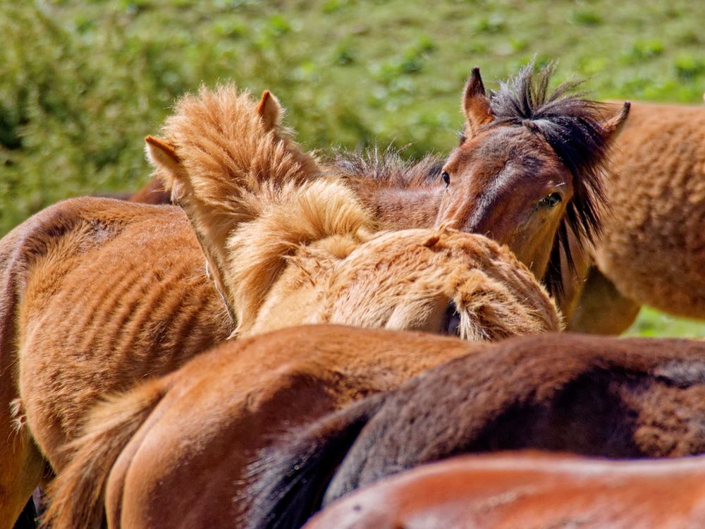 Photograph by Андрей Панин