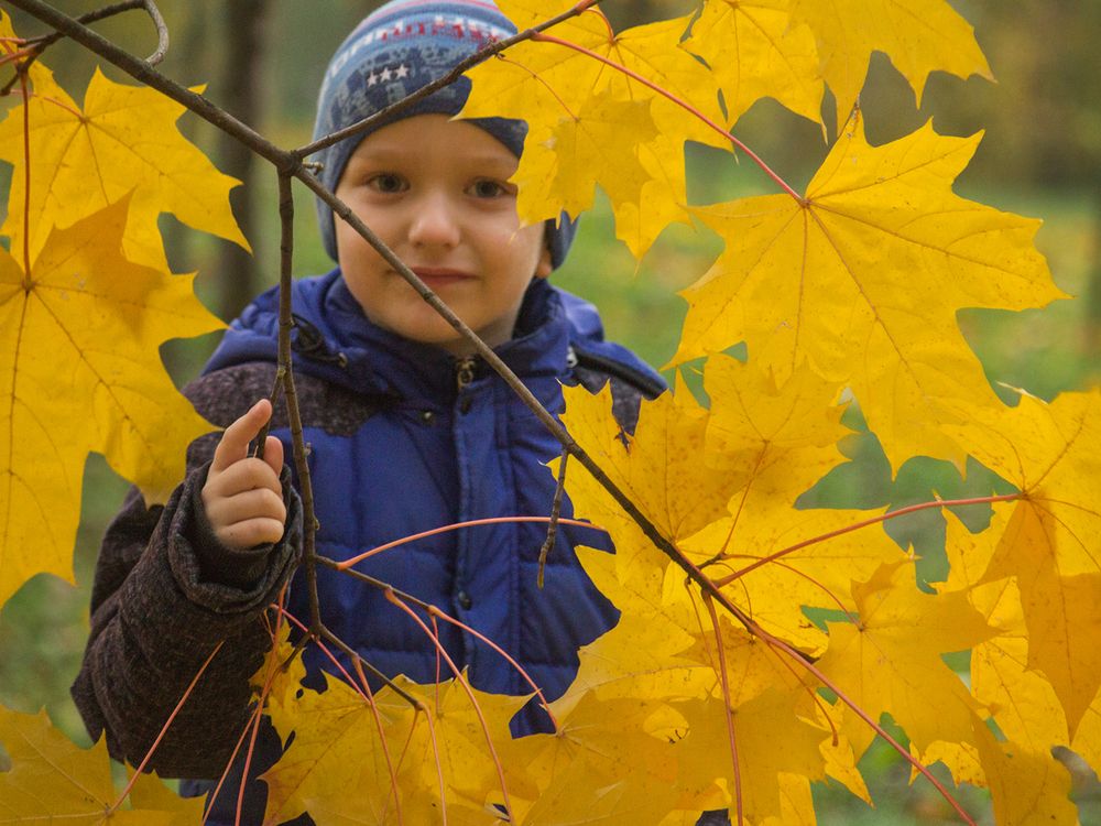 Фотография автора Борис Журавлёв