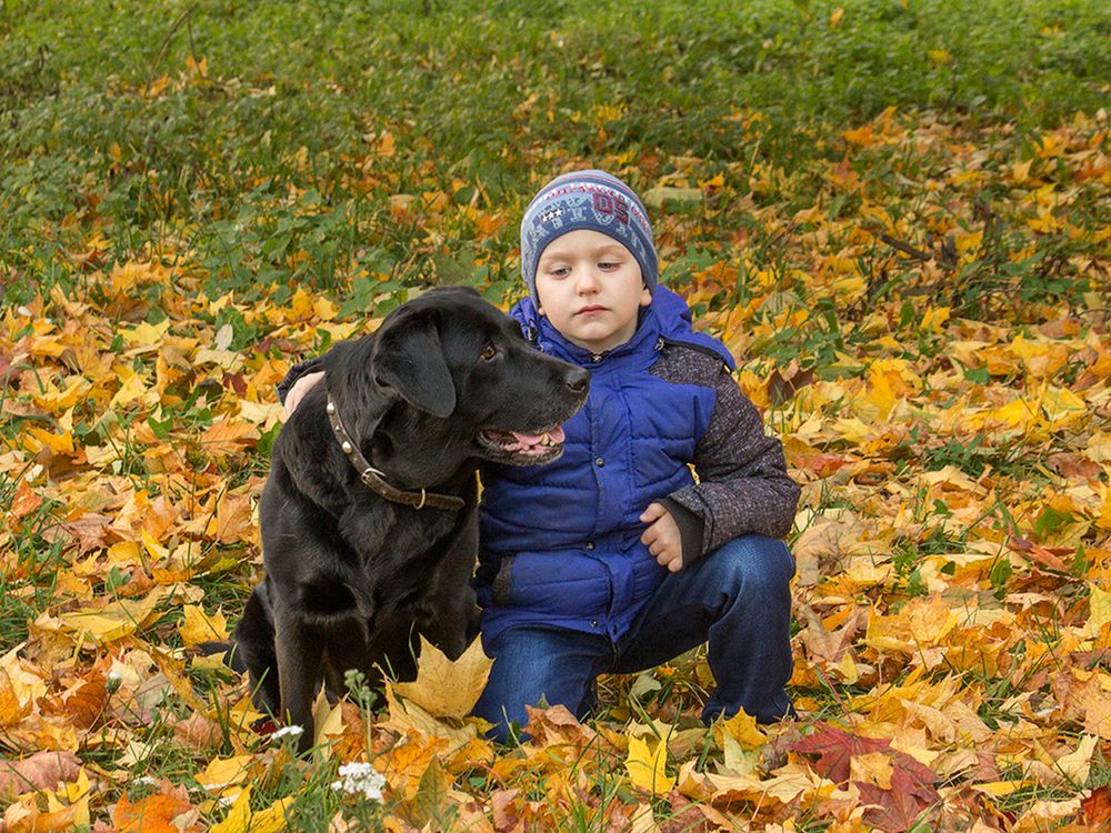 Фотография автора Борис Журавлёв