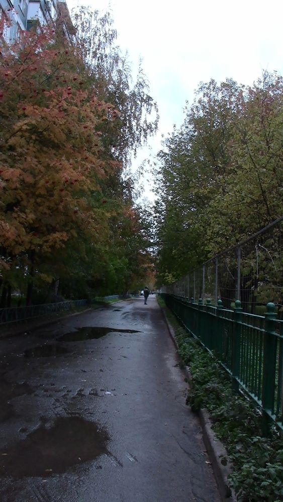 Photograph by Азаренкова Ирина