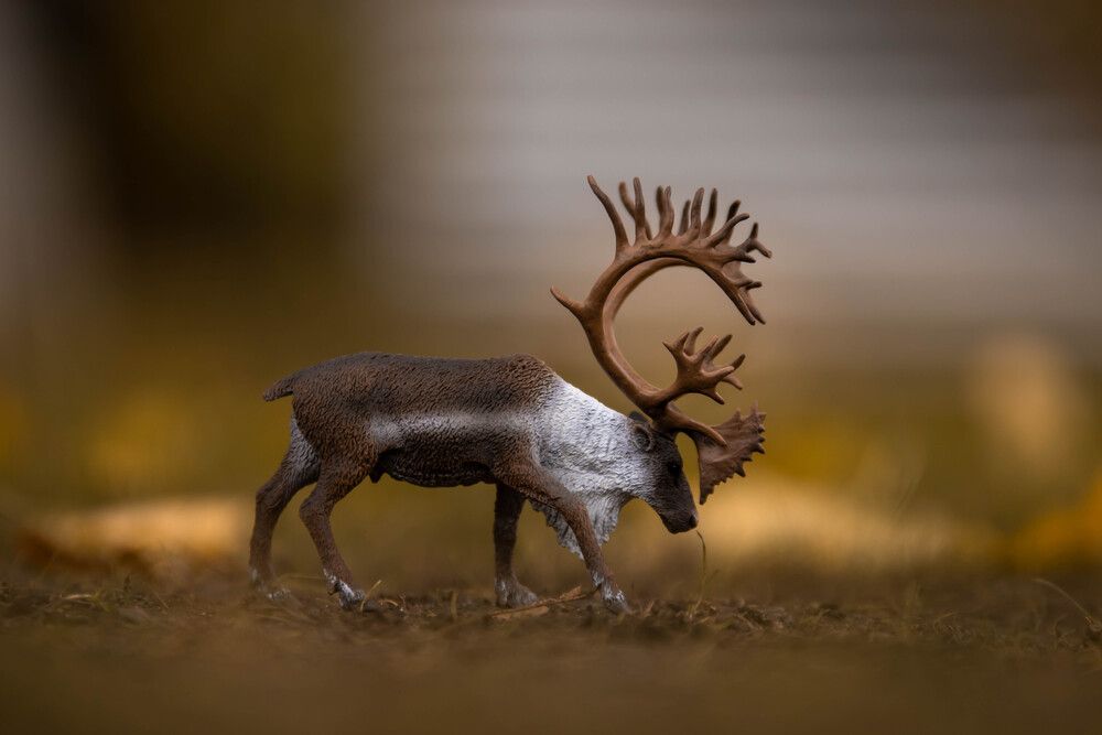 Фотография автора Дарья Сергеевна