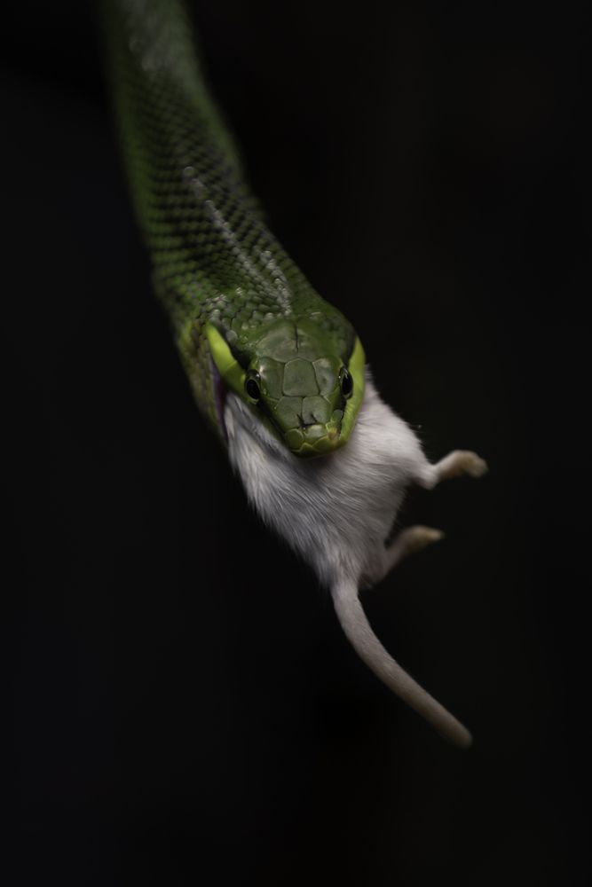 Photograph by ALI Pashang