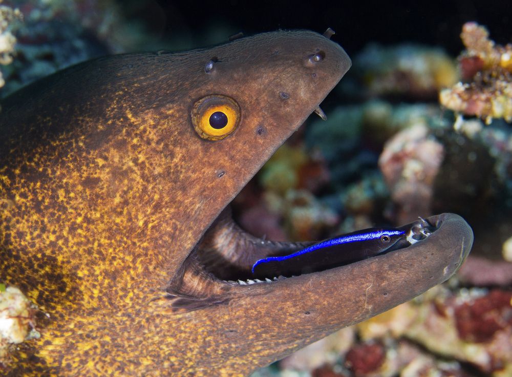 Photograph by ANTON Julien