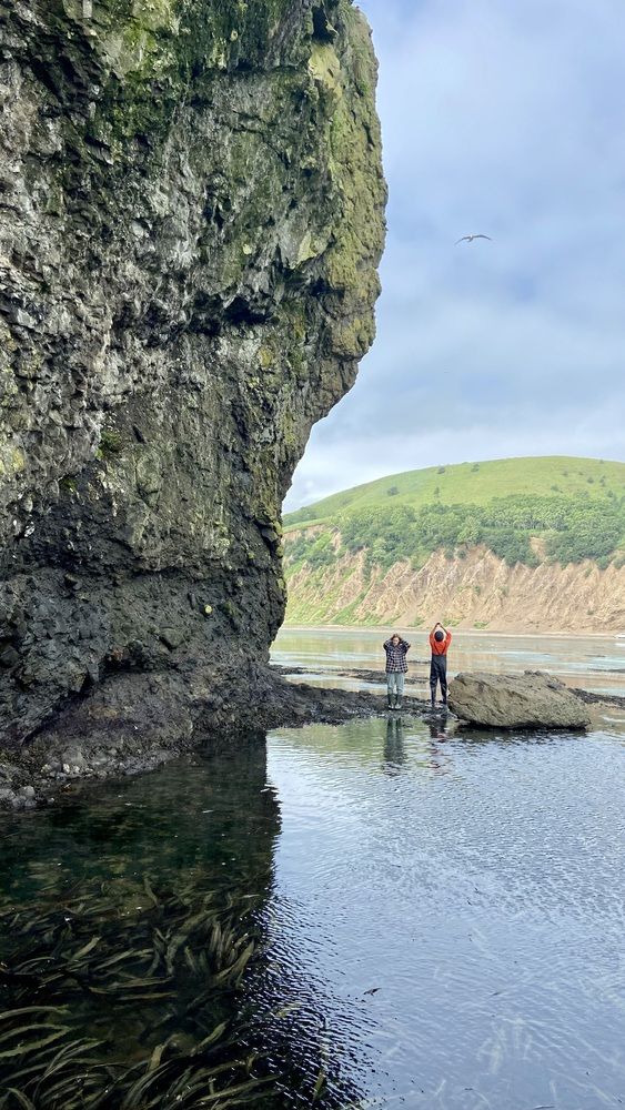 Photograph by Николай Коробко