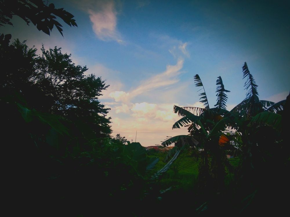 Photograph by deneb sebuado