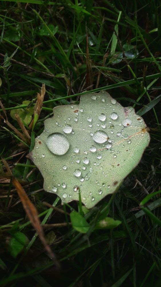 Photograph by Цывкунова Полина