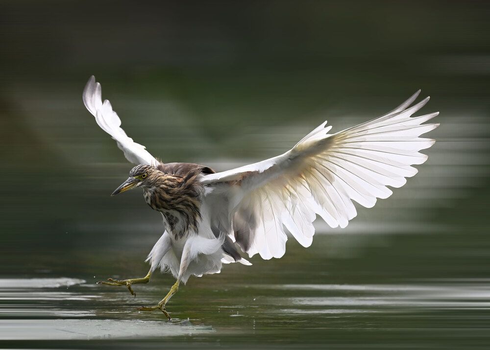 Photograph by yuanwei zuo