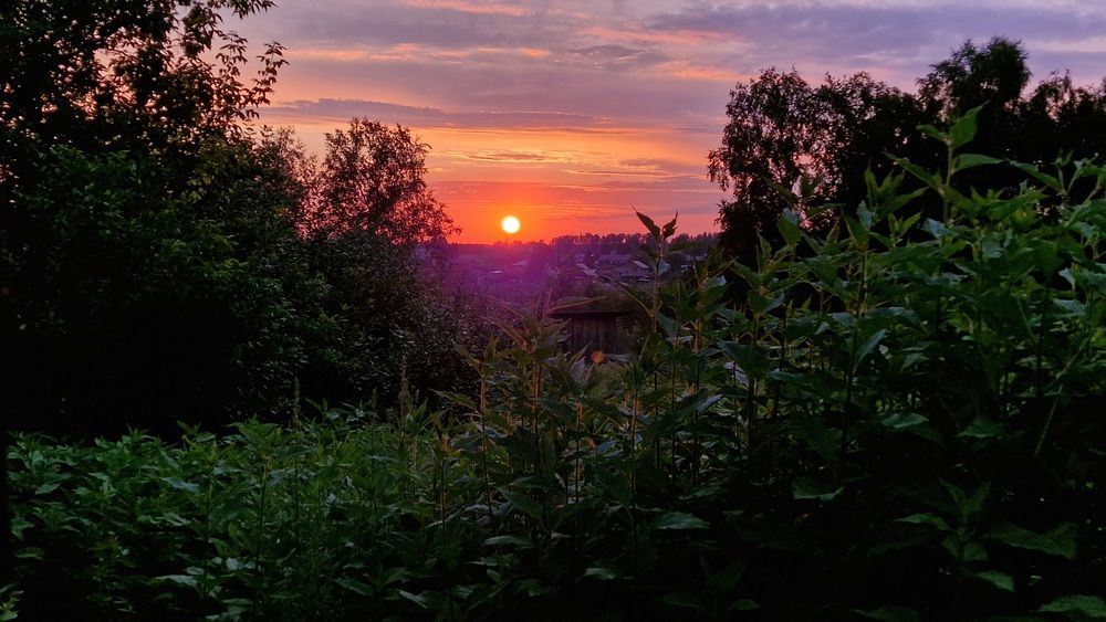 Photograph by Дарья Агапова