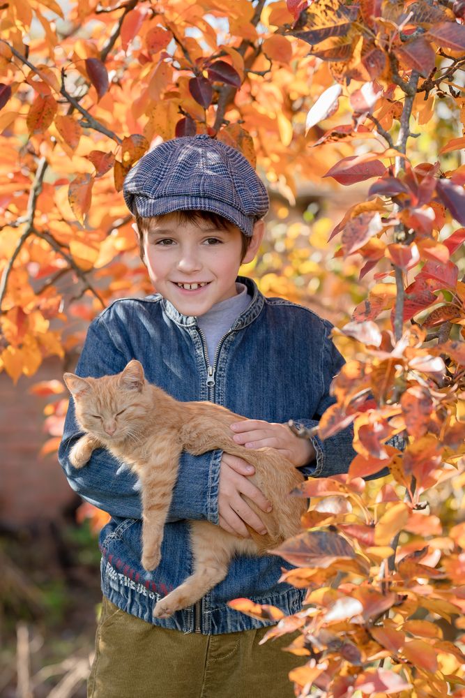 Варлам и Рыжик на фоне листвы грушевого дерева