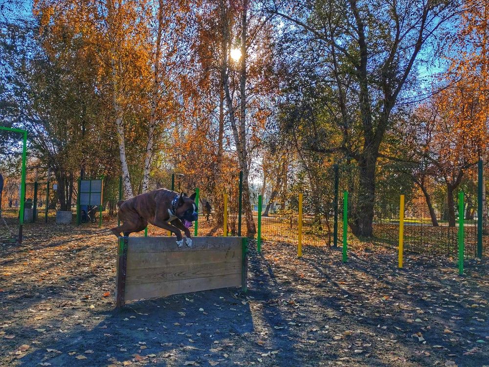 Photograph by Ксения Орлова