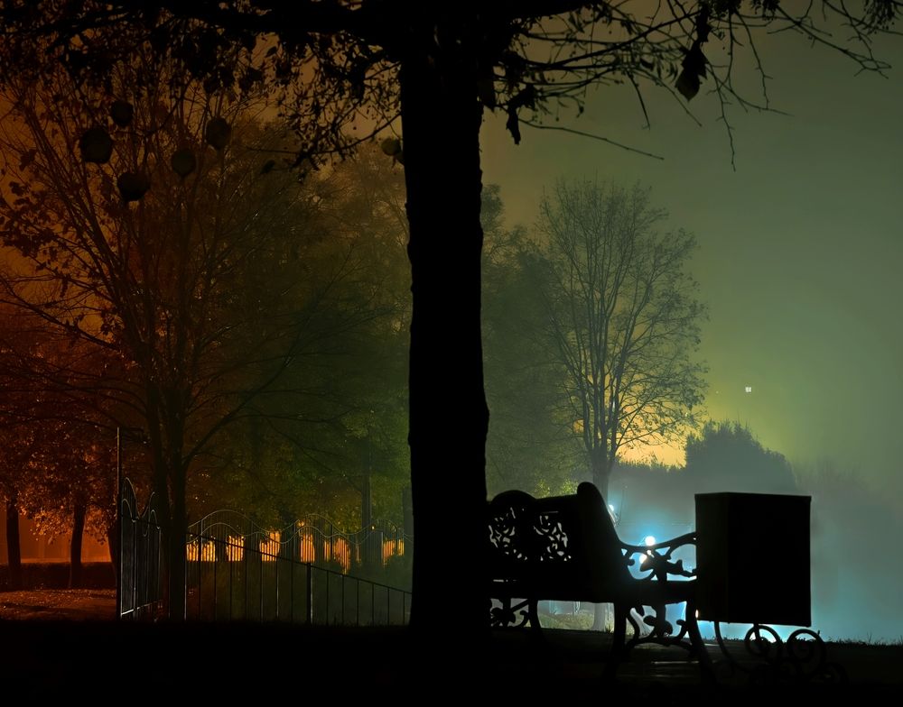 Photograph by Владимир Фролов