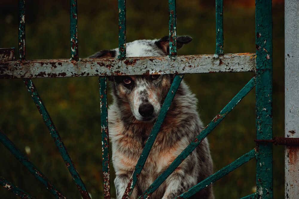 Photograph by Евгения Буйских