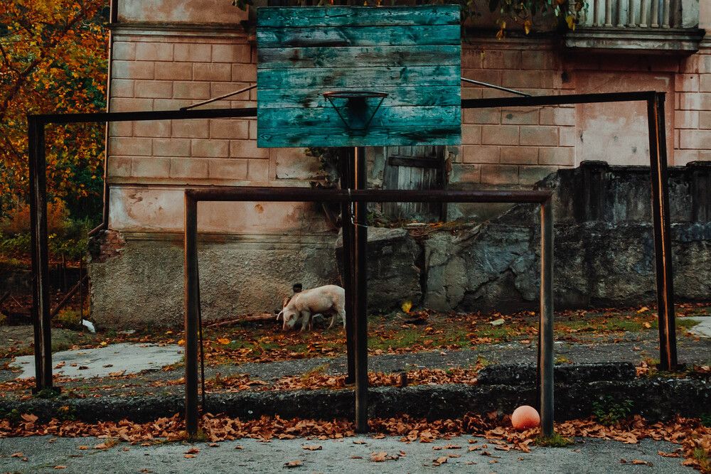 Photograph by Евгения Буйских