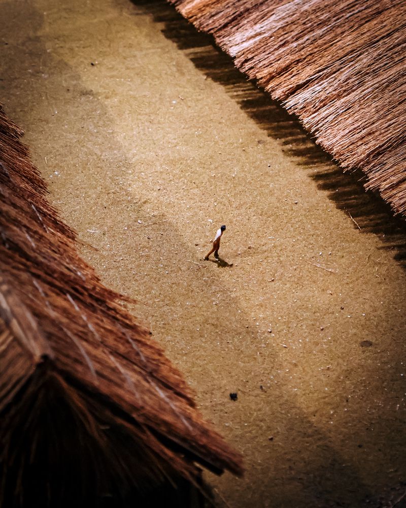 The Last Home