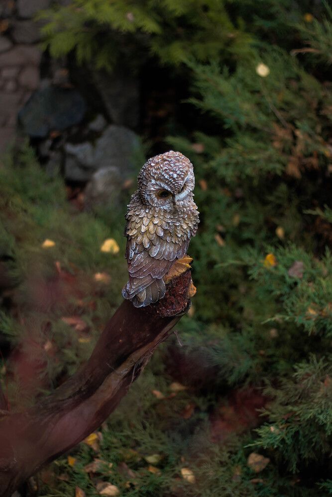 Photograph by Любовь Иванова