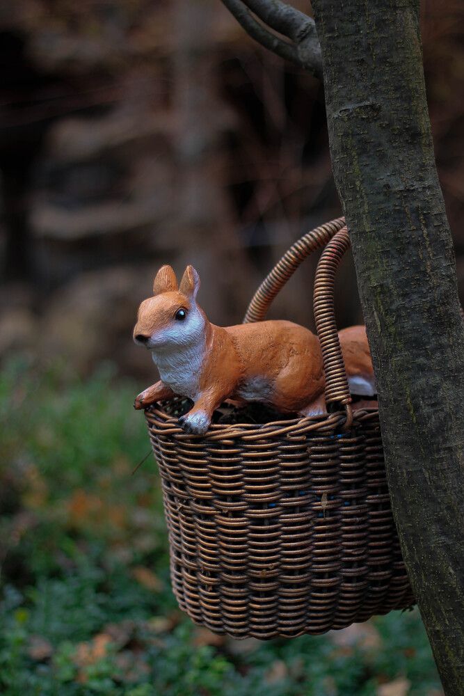 Photograph by Любовь Иванова