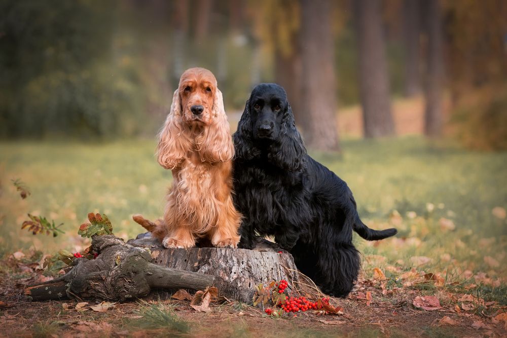 Photograph by Наталья Степанова