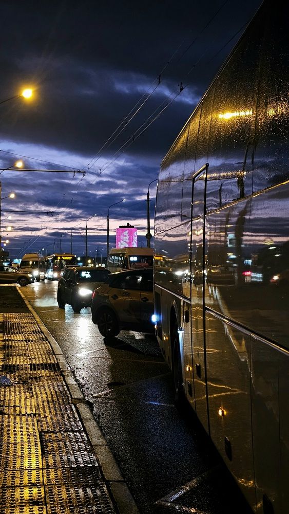 Фотография автора Светлана Кудрявцева