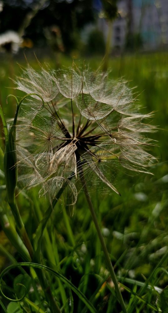 Photograph by Светлана Кудрявцева