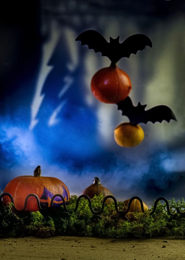 Photograph by Margarita