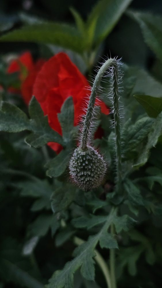 Photograph by Светлана Кудрявцева