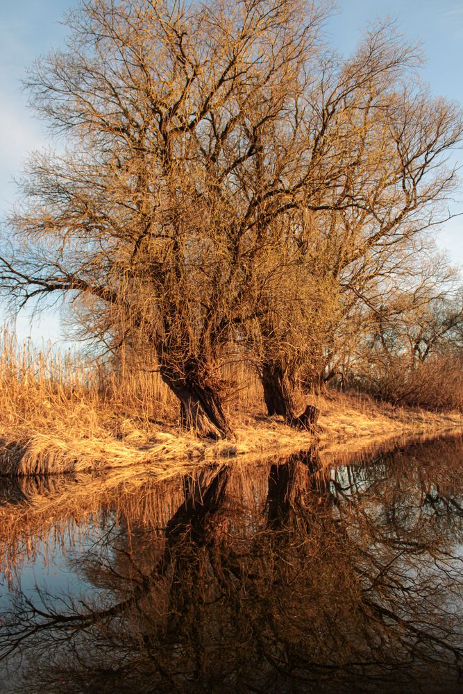 Photograph by Анна Янчилина