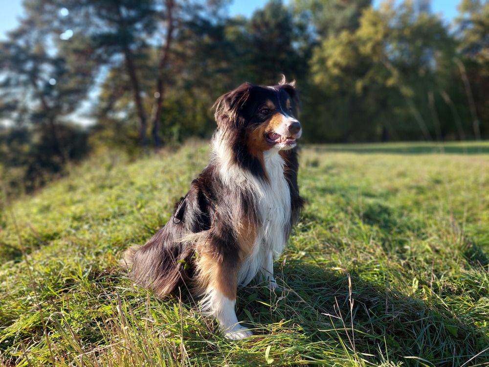 Photograph by Артём Евтюхов