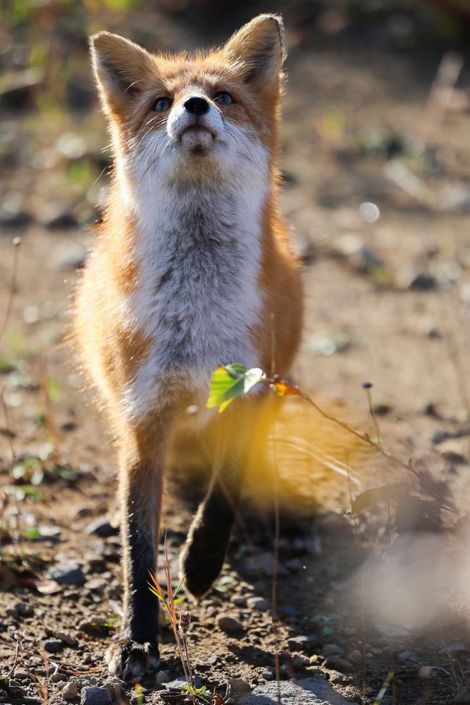 Photograph by Екатерина Якель