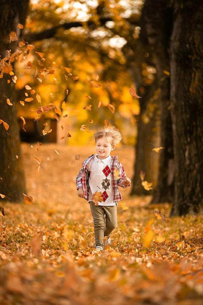 Photograph by Елена Алешечкина