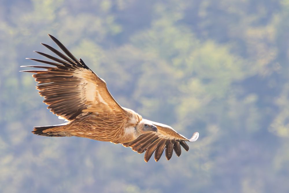 Photograph by Alexei Kriptozoy