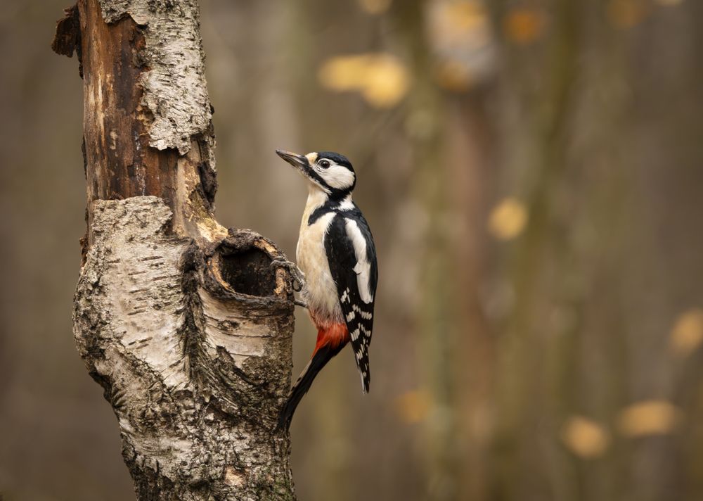 Photograph by Выговский Петр