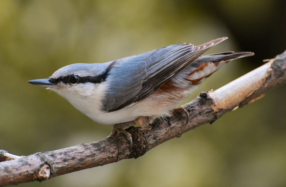 Photograph by Наталья Екимова