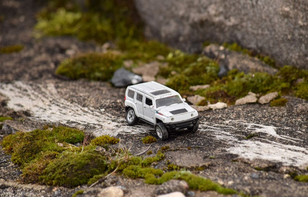 Фотография автора Оксана Льдинина