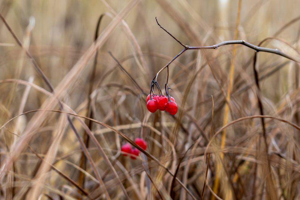 Photograph by Евгений