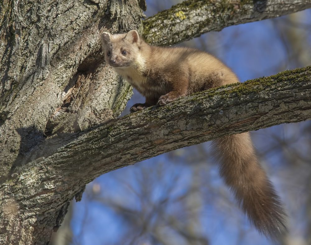 Photograph by Елена Швыдун