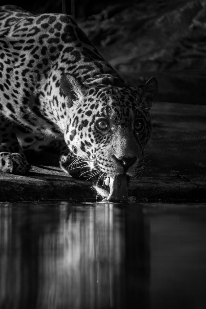 Photograph by Shehan Dondeenu