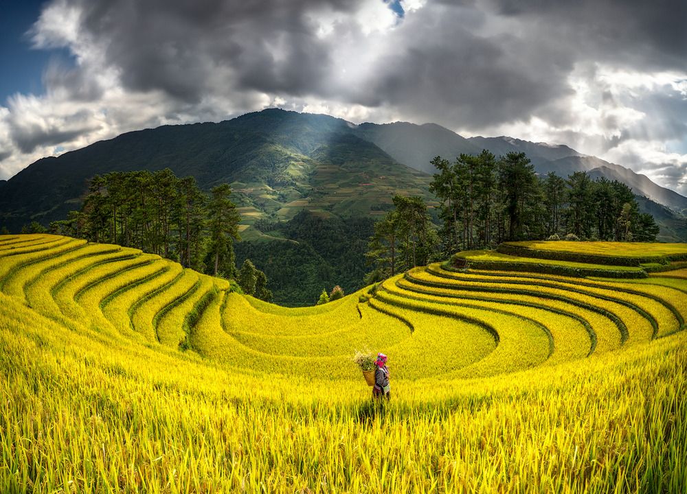 Photograph by Đạo Hoàng