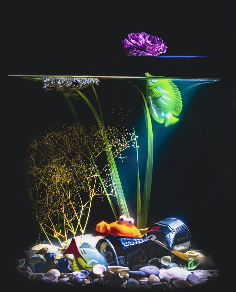 Photograph by Margarita