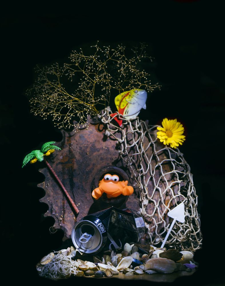 Photograph by Margarita