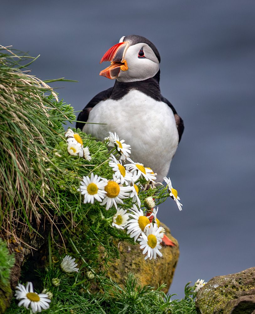 Photograph by Vladimir Ostapenko