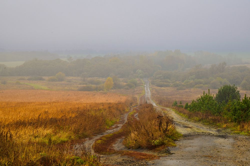Photograph by YURIY TSARENKO