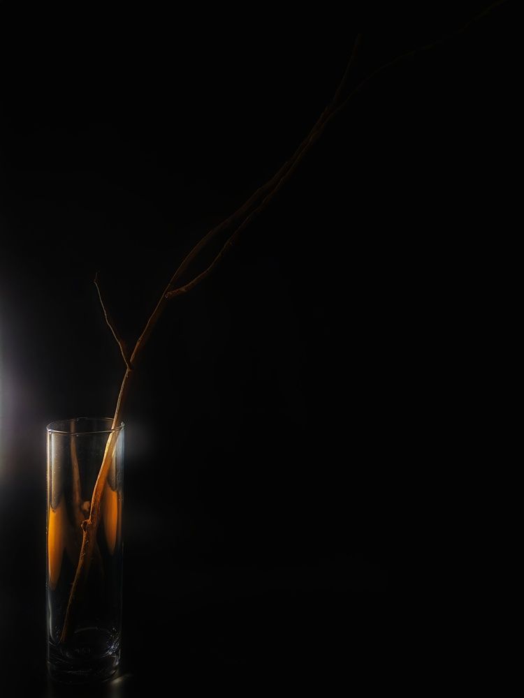 Photograph by Ксения Орлова