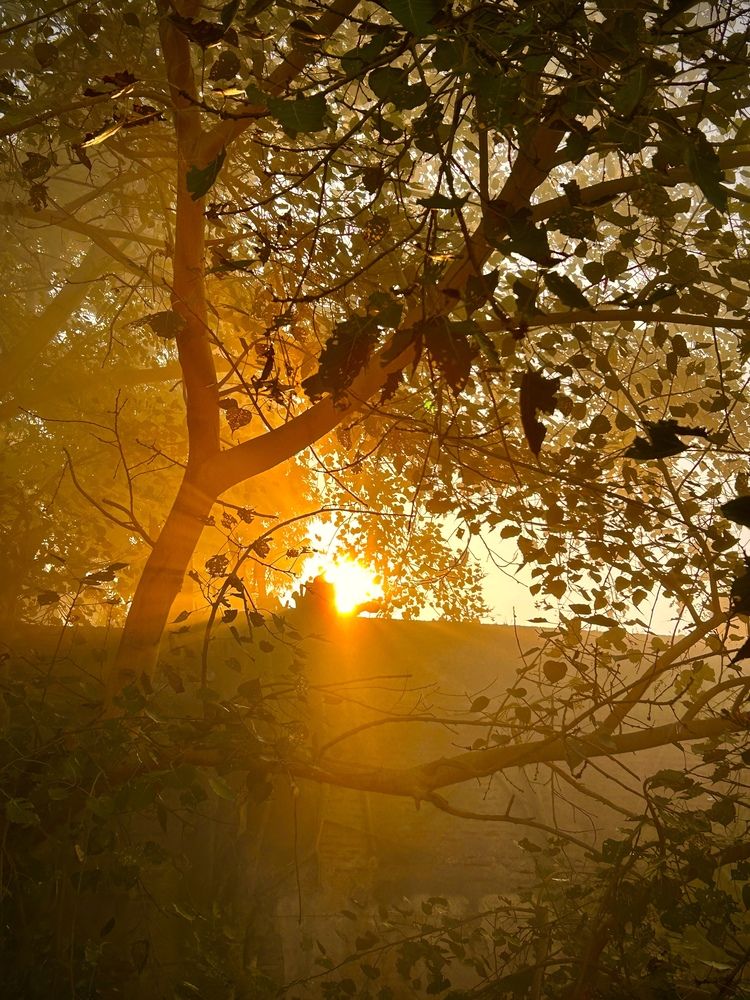 Photograph by shashiranjan prakash