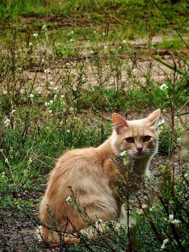 Photograph by Даниил Зайцев