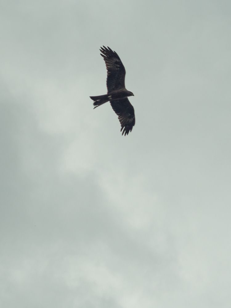 Photograph by Chelyshev Boris