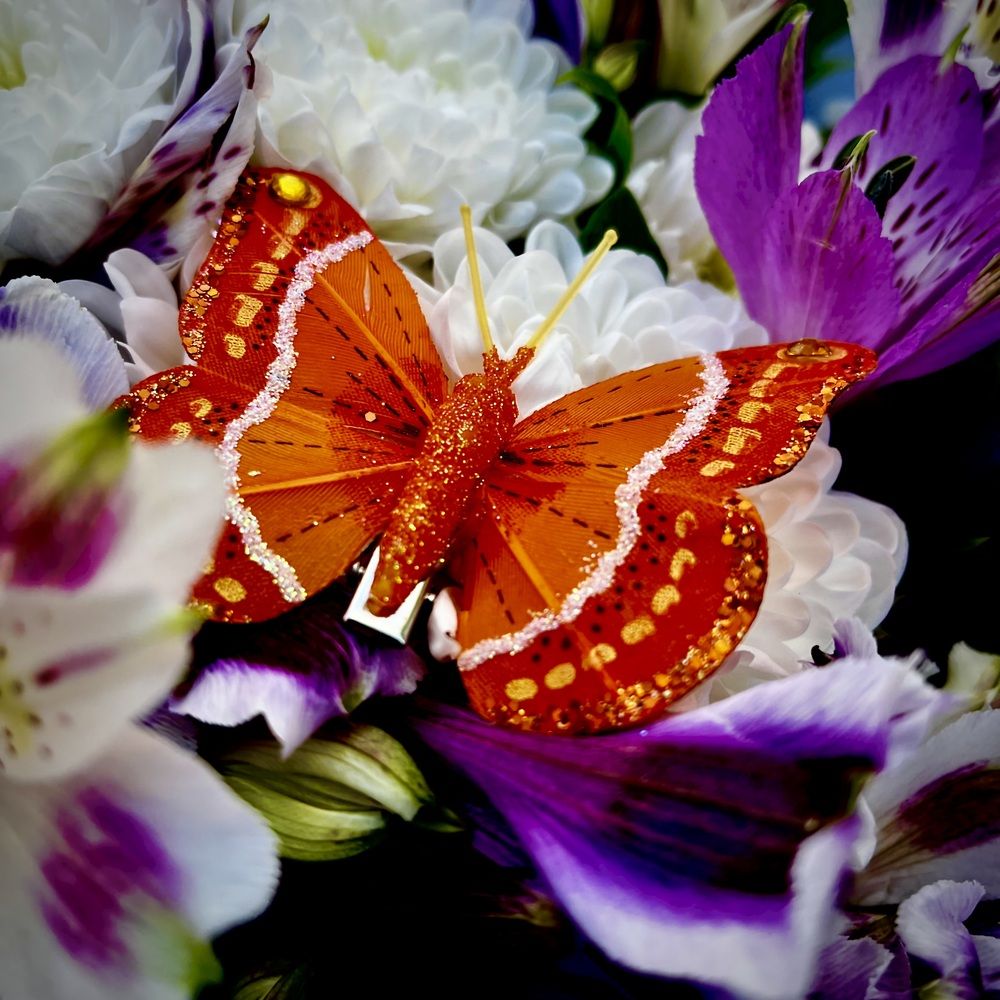 Photograph by Марина Козлова