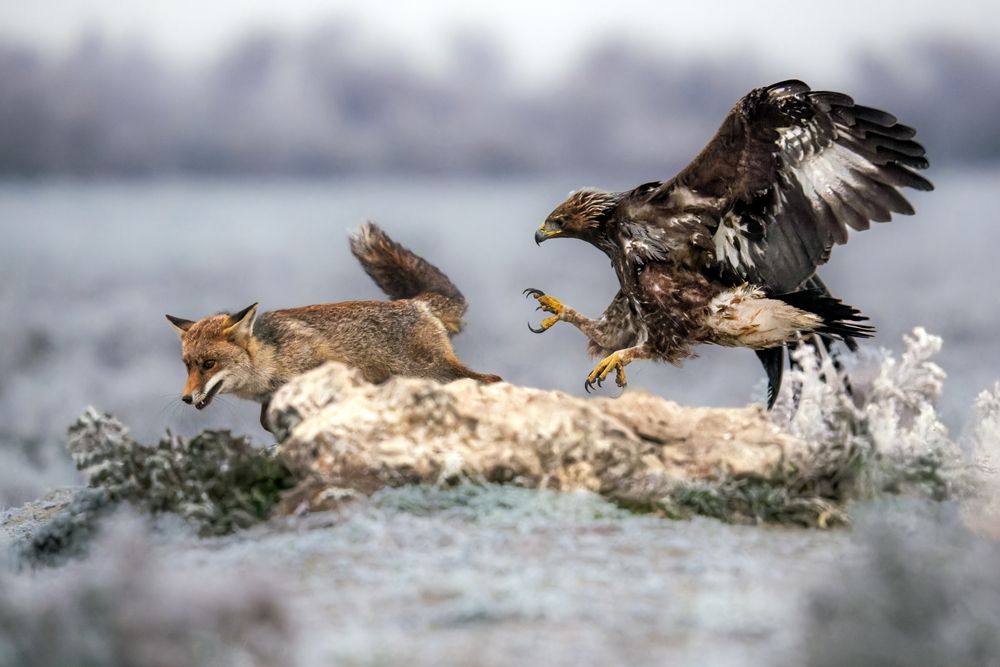 Photograph by Ruzhdi Ibrahimi