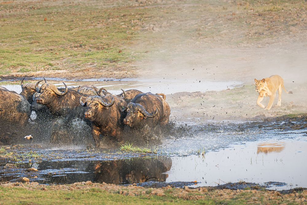 Фотография автора Paolo Barbarini