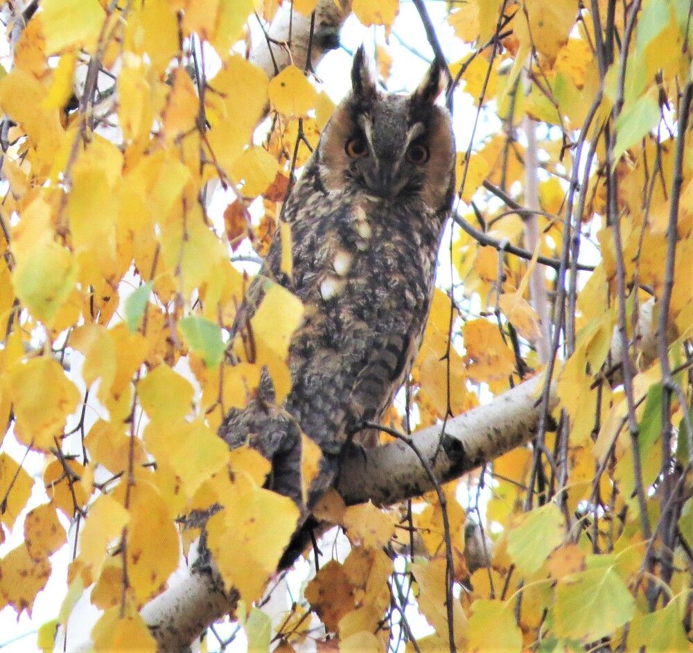 Photograph by Лариса Басова